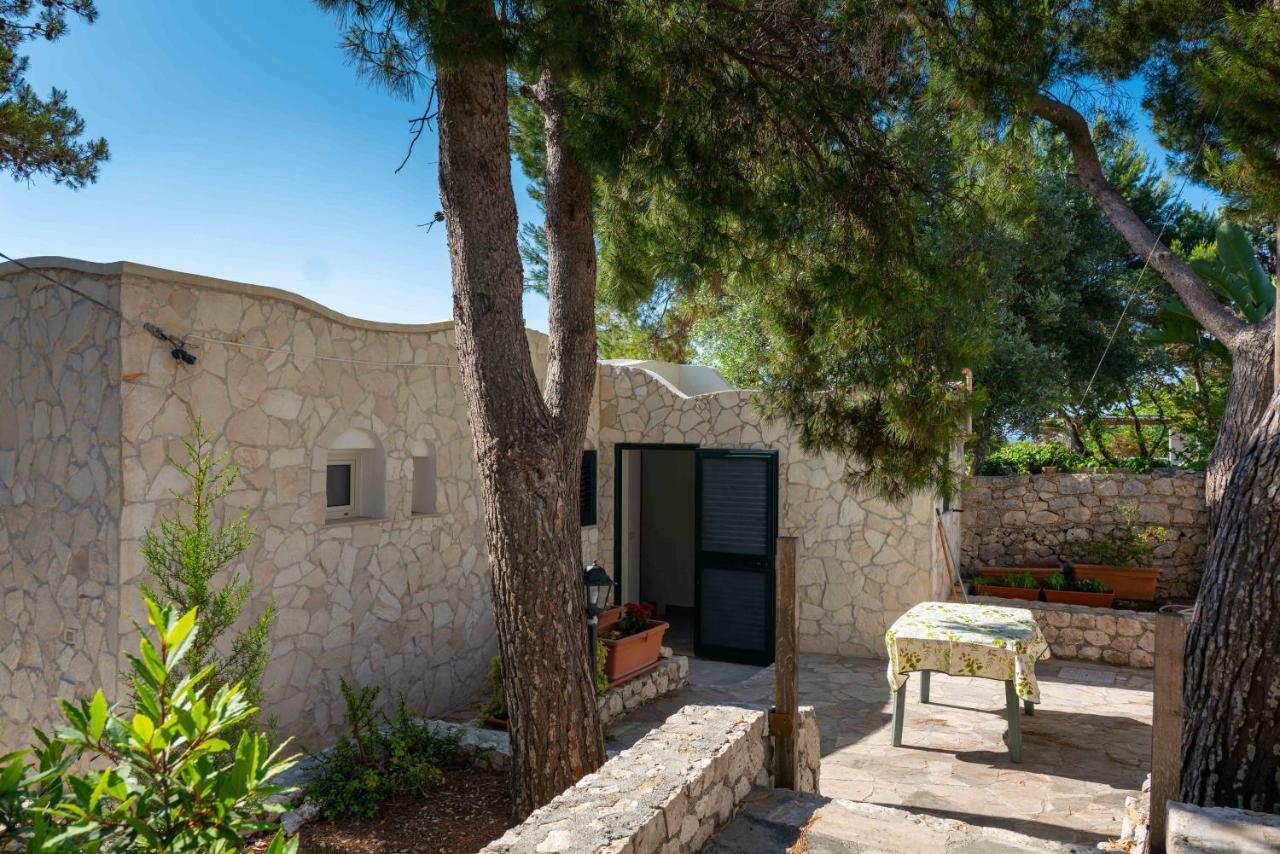 Porticelli Apartment Marittima Exterior foto